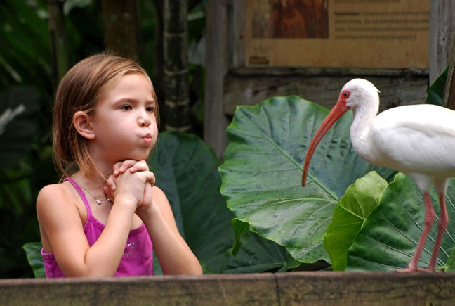 Flamingo Gardens & Wildlife Sanctuary