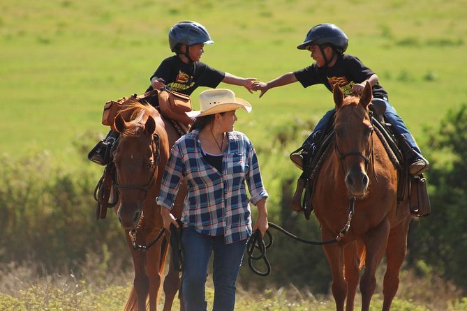 Pony rides