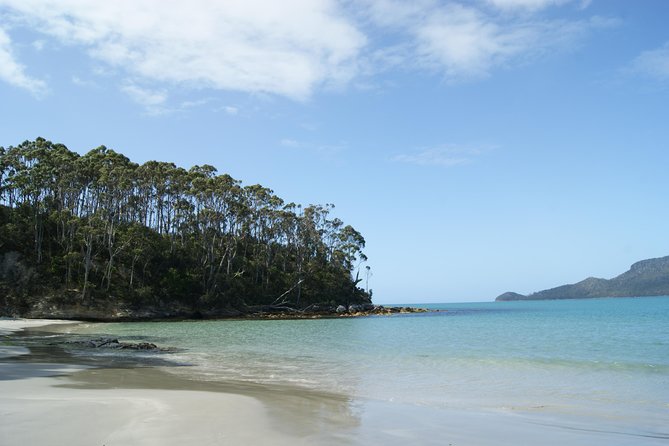 best bruny island tours from hobart