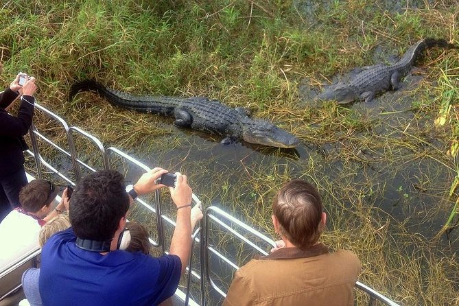 everglades trip from orlando