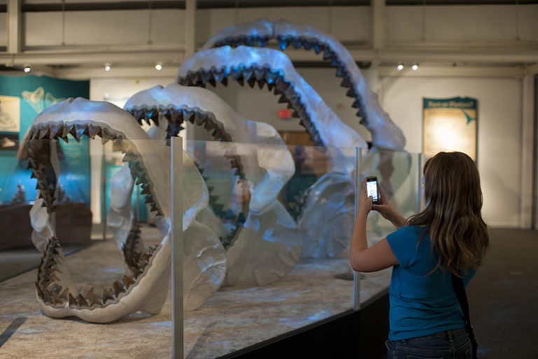 The 20 best exhibitions to discover in Florida this winter