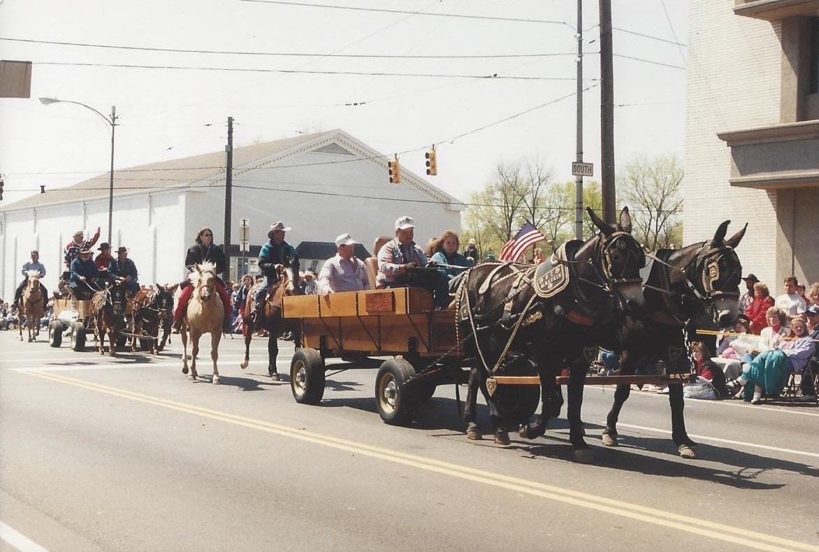 Mule Day