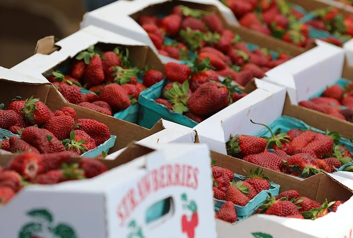 Middle Tennessee Strawberry Festival