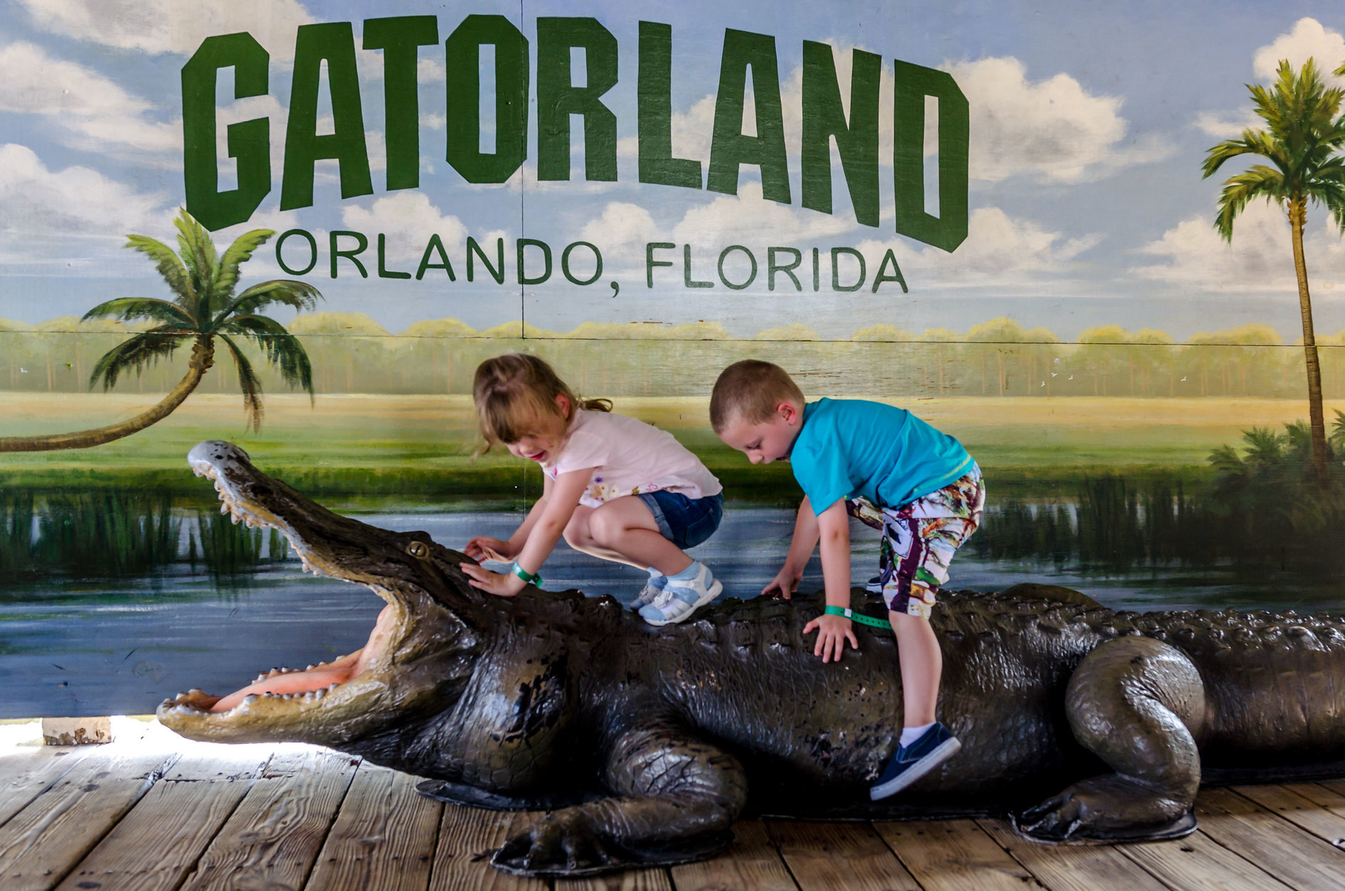 gatorland trip