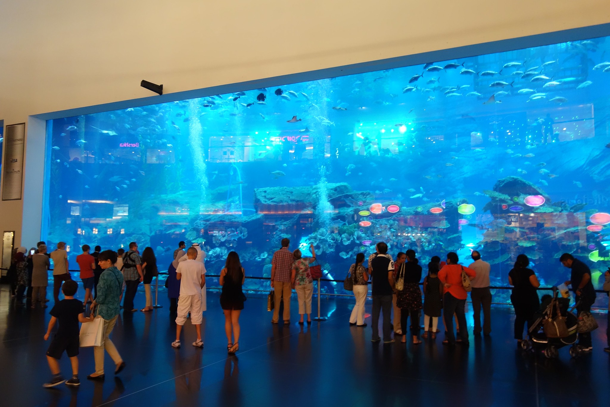 dubai mall aquarium tour