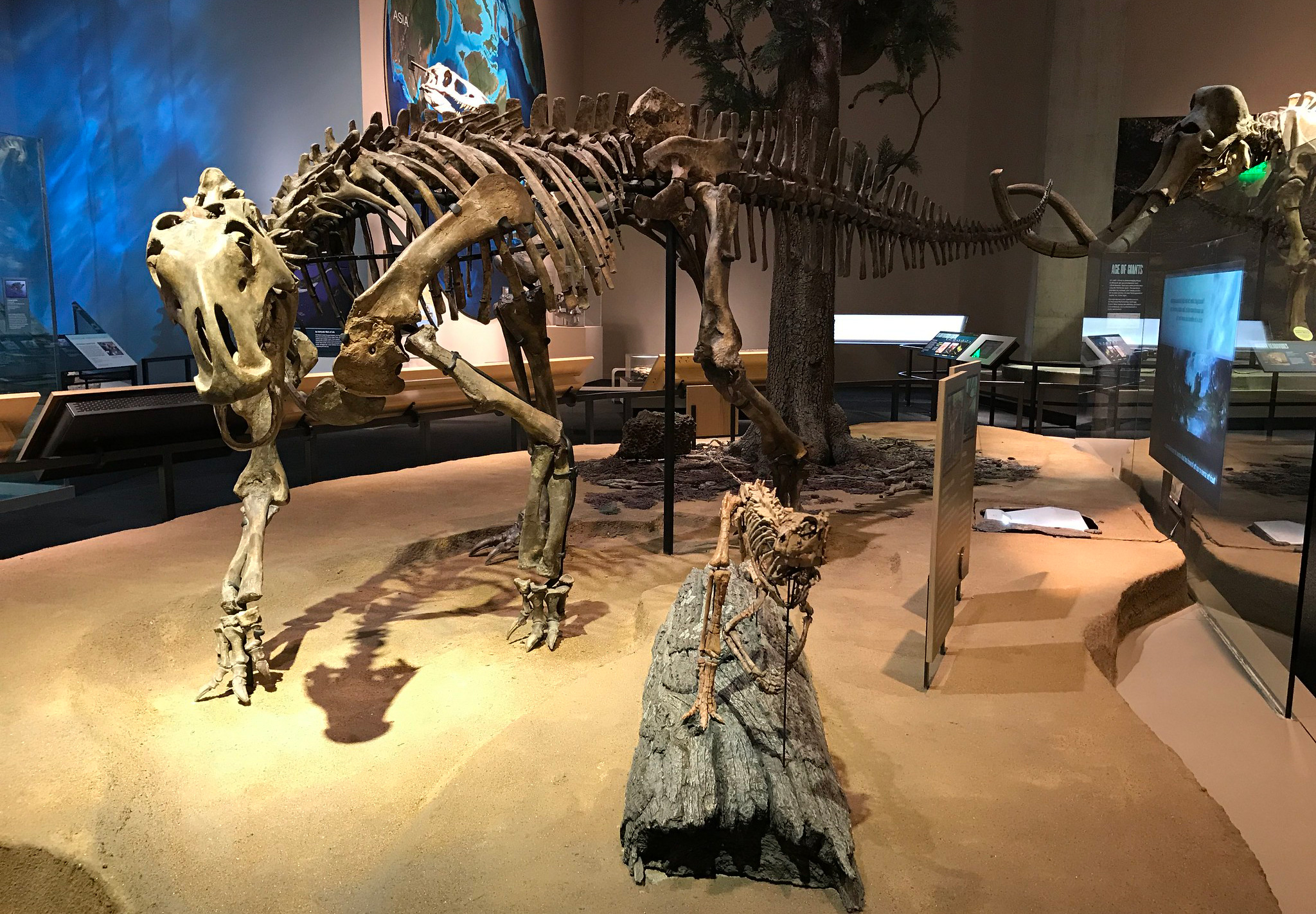Perot Museum of Nature and Science