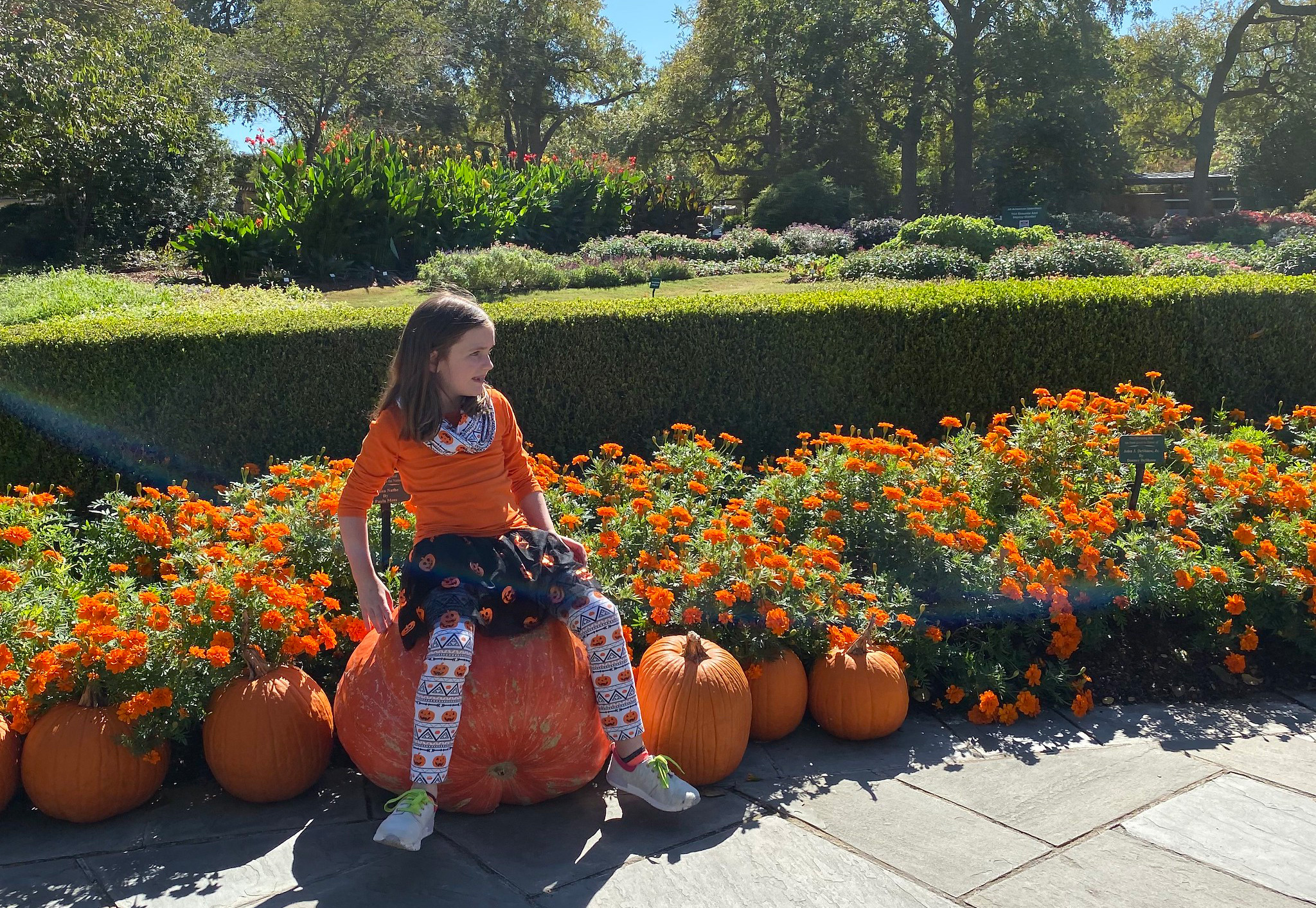 Dallas Arboretum and Botanical Garden