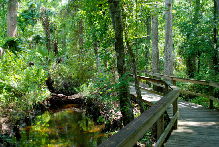 5 of the Best Campgrounds and RV Parks Near Orlando
