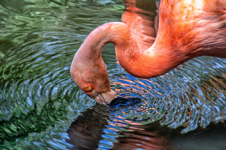 20 Things to Do with Kids in Arizona