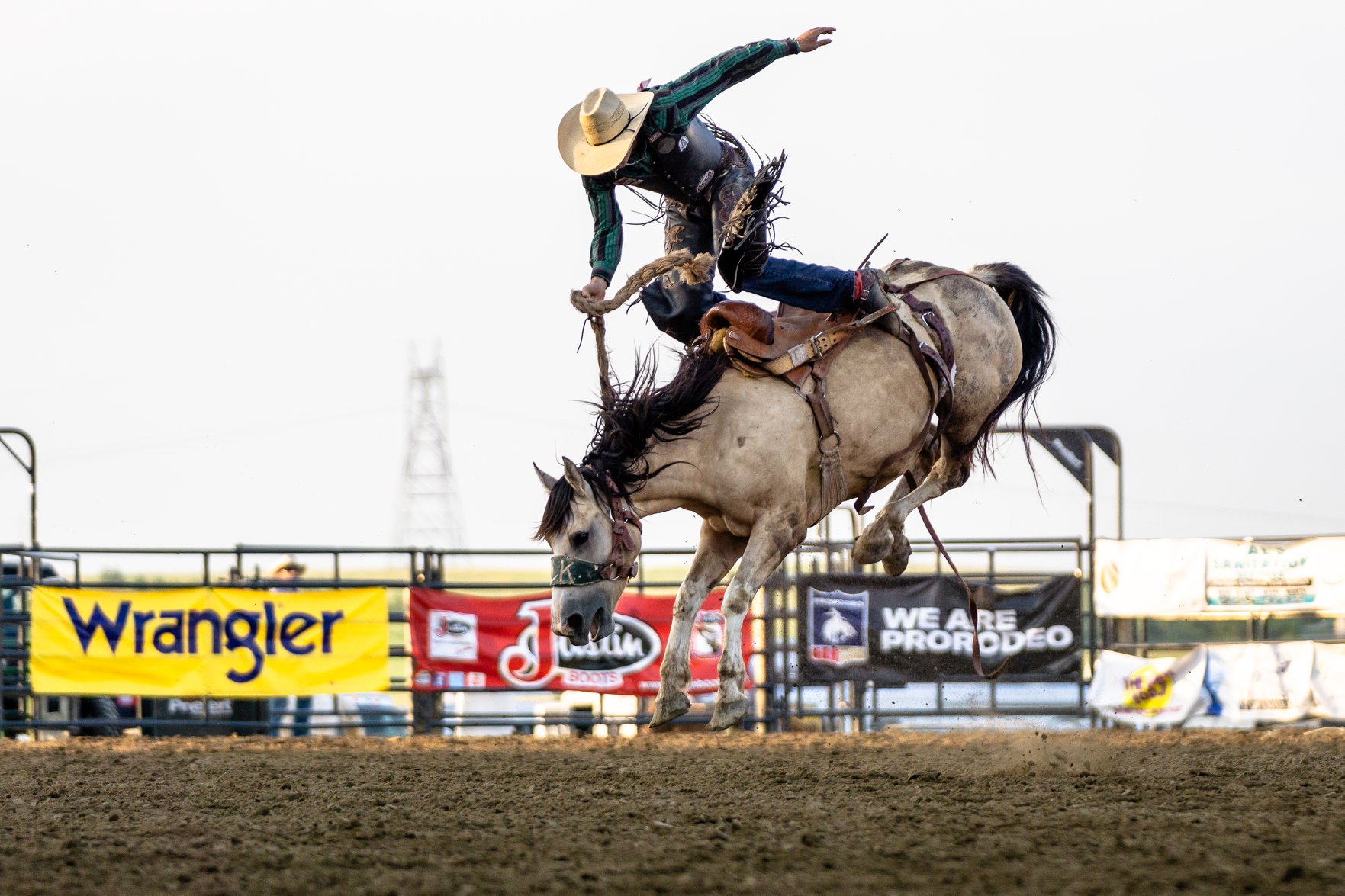 Roughrider Days Fair