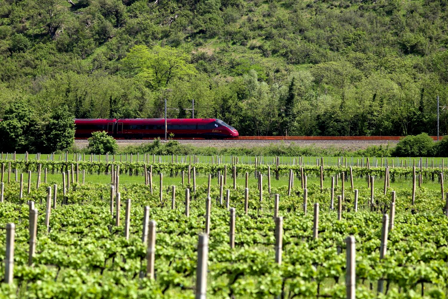 travel between venice and florence