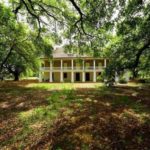 5 of the best Oak Alley Plantation Tours from New Orleans