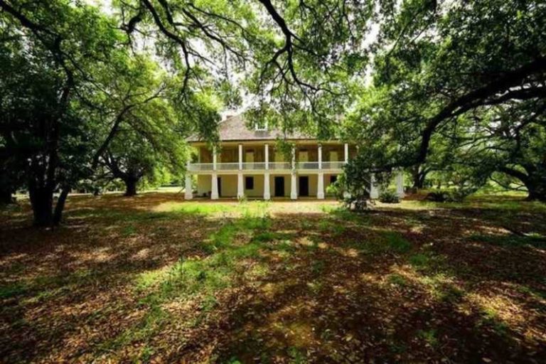 5 of the best Oak Alley Plantation Tours from New Orleans