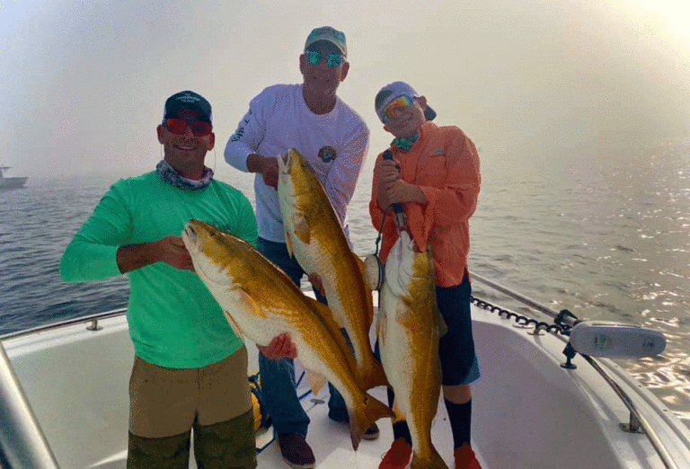5 of the Best Pensacola Fishing Charters