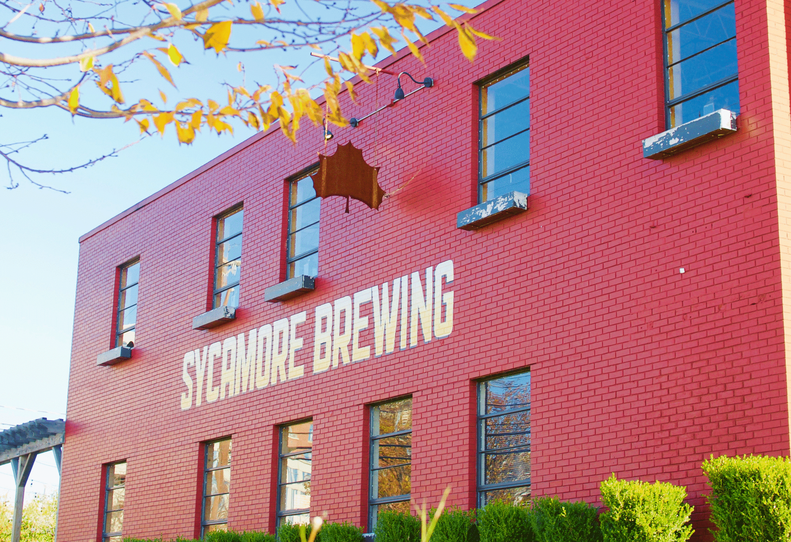 Sycamore Brewing