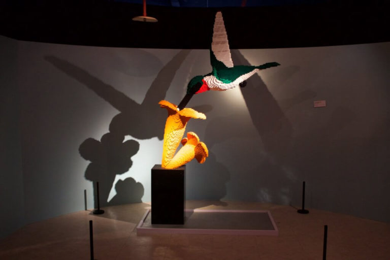 10 of the Best Exhibitions this Spring/Summer in Michigan