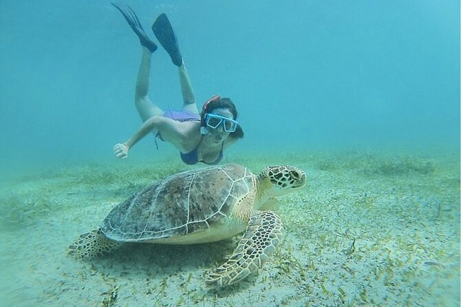 snorkeling tours in fajardo puerto rico