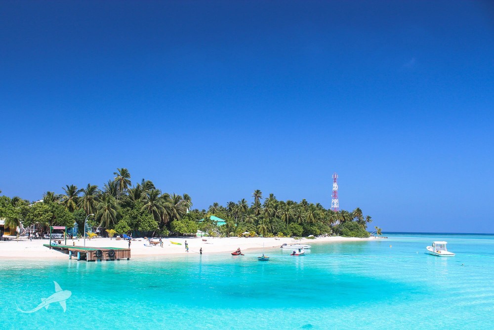 Best Scuba Diving Resorts Maldives