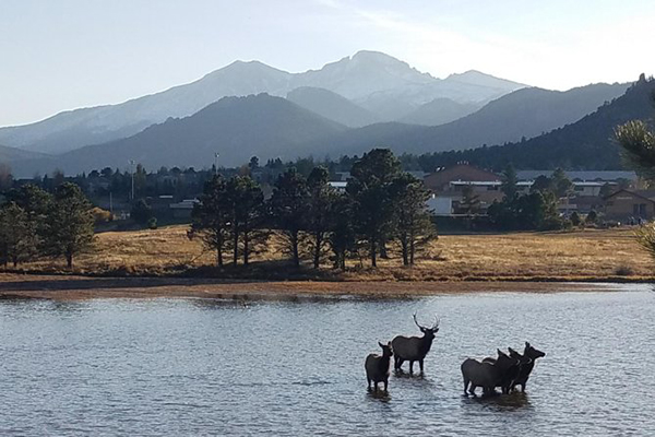 mountain tour denver