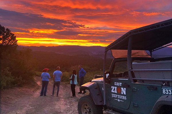 zion national park jeep tours