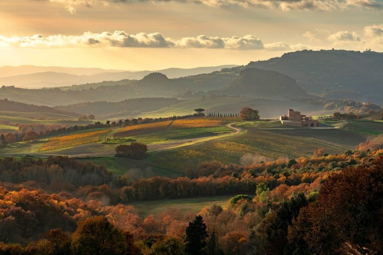 10 of the Best Wineries in Tuscany