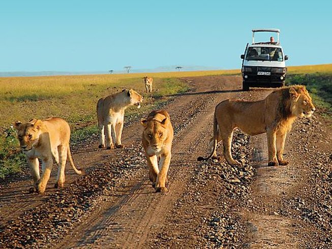 nairobi serengeti safari