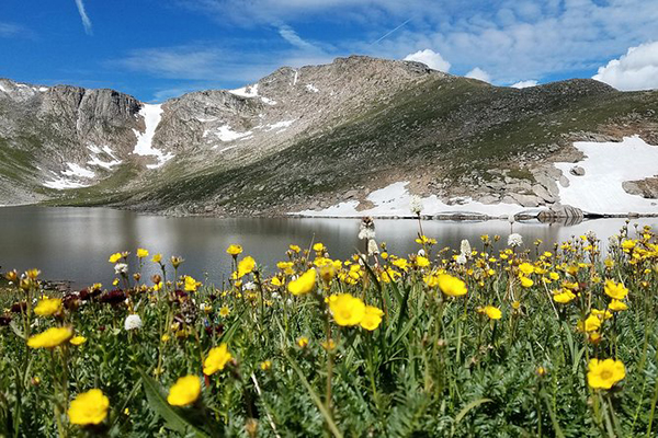 4 of the Best Mount Evans Tours from Denver