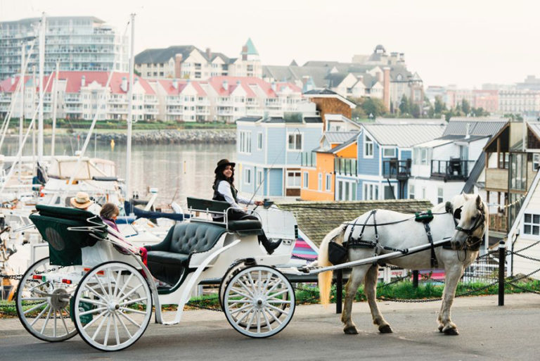 victoria bc horse drawn carriage tour