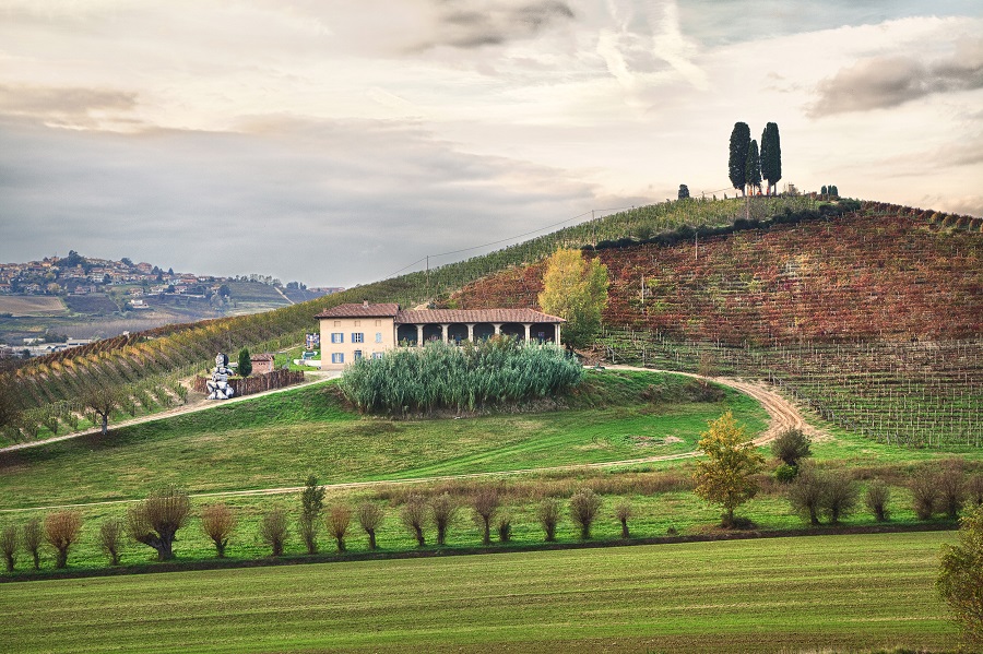 italy vineyards to visit