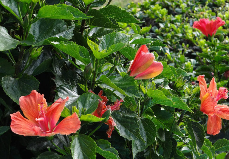 24 Hours in Cuernavaca