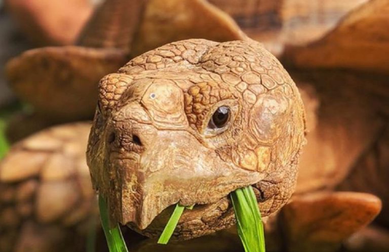 Editor Picks: The Best Kauai Hiking Tours