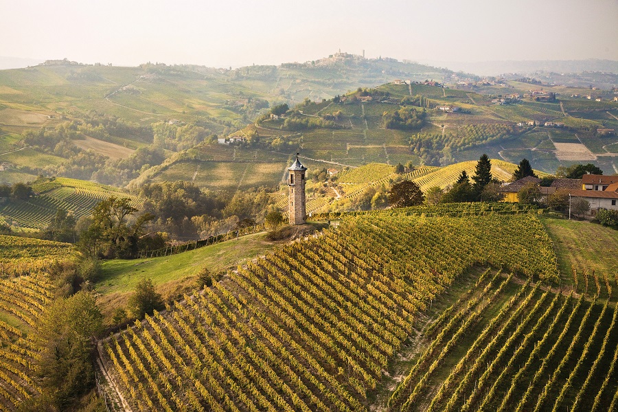 piedmont italy wine tours