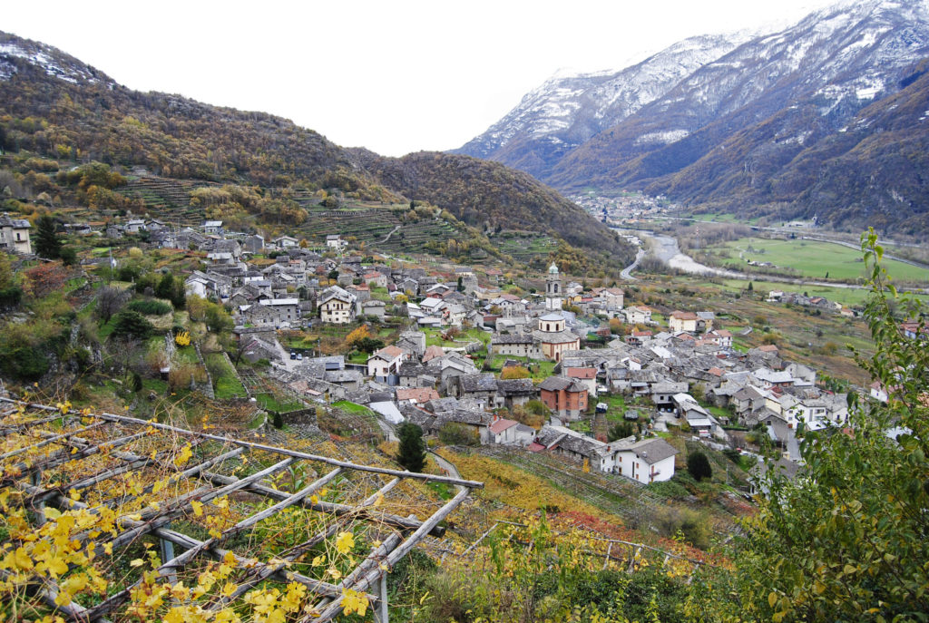 italy vineyards to visit