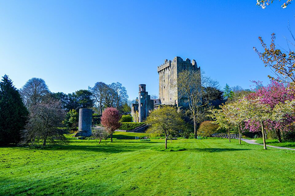 castle tours near dublin