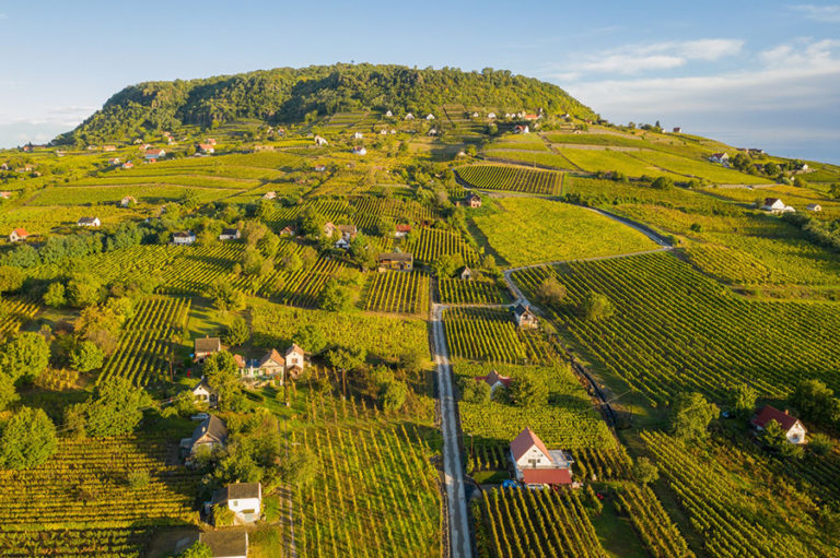 10 of the Best Wine Regions in Hungary