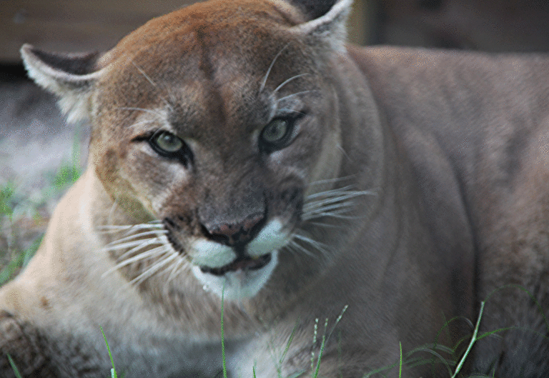 10 Unique Things to Do in and around West Palm Beach