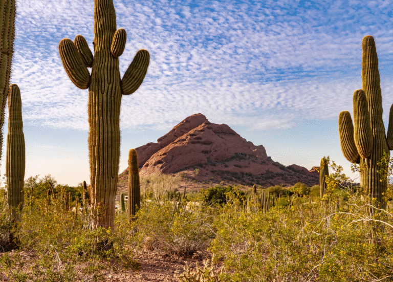 12 Fun Things to Do in Phoenix