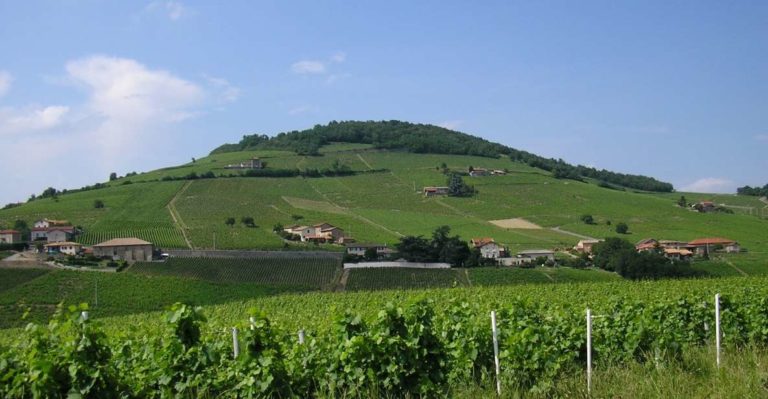 5 of the Best Lyon Food and Wine Tours