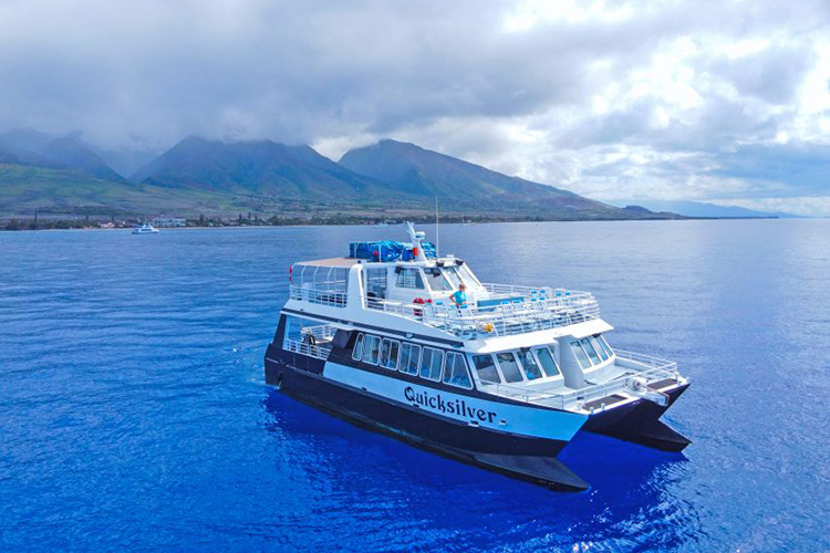 catamaran boat tour maui