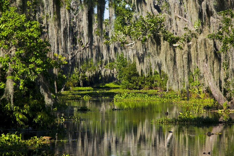 airboat tour nola