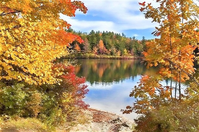 fall foliage trips from boston