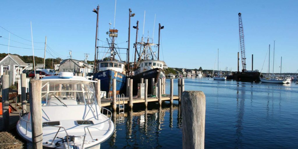 A Comparison of Martha's Vineyard Tours