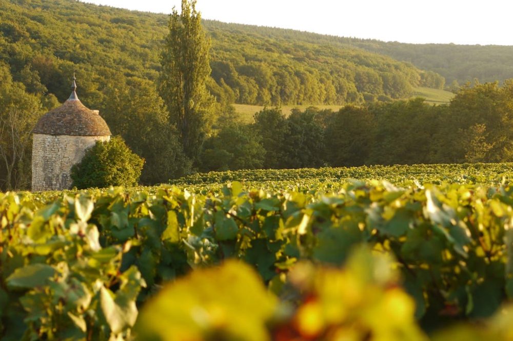 best Burgundy wine online