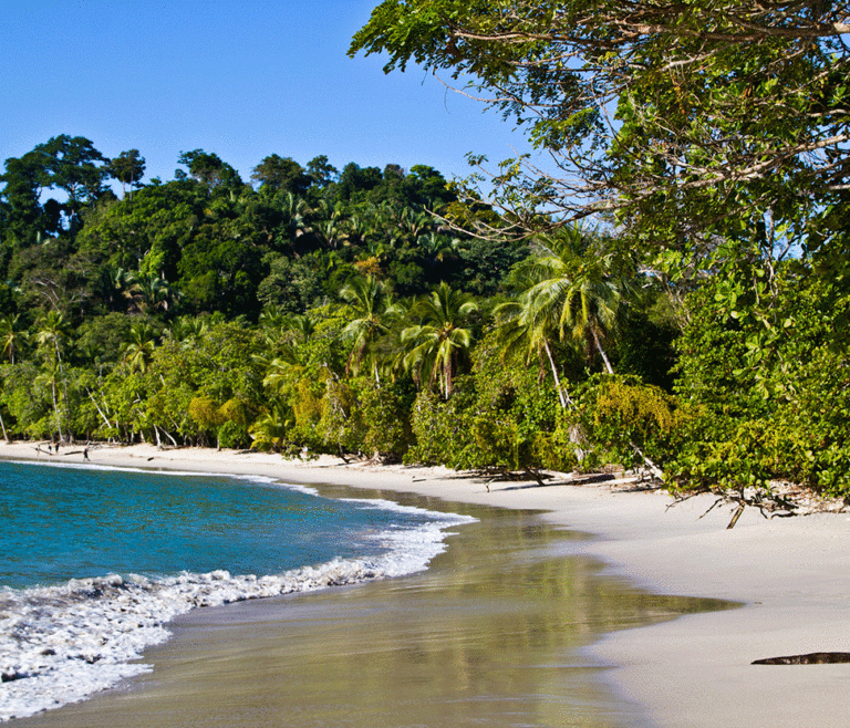 The Most Charming Beaches in Costa Rica