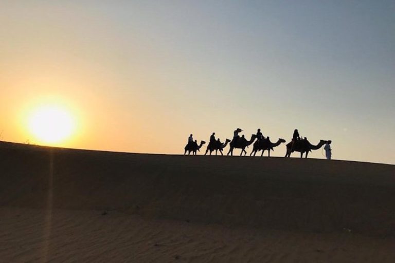 5 of the Best Camel Ride Experiences in Dubai