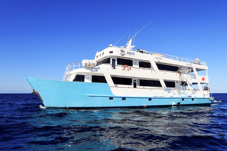7 of the Best Liveaboards in the Galapagos