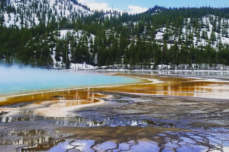 tour of yellowstone from jackson hole