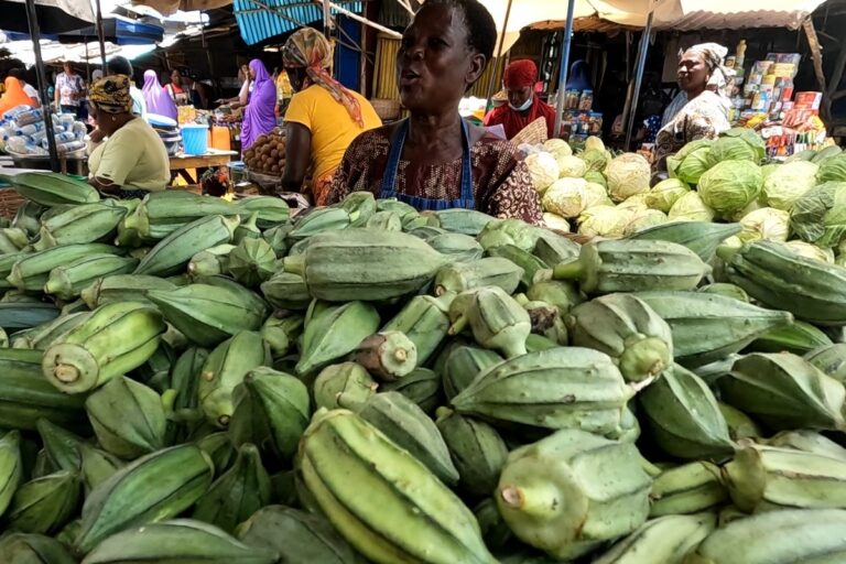 The Source of Gumbo: Searching Benin for the Origins of Louisiana’s Signature Stew