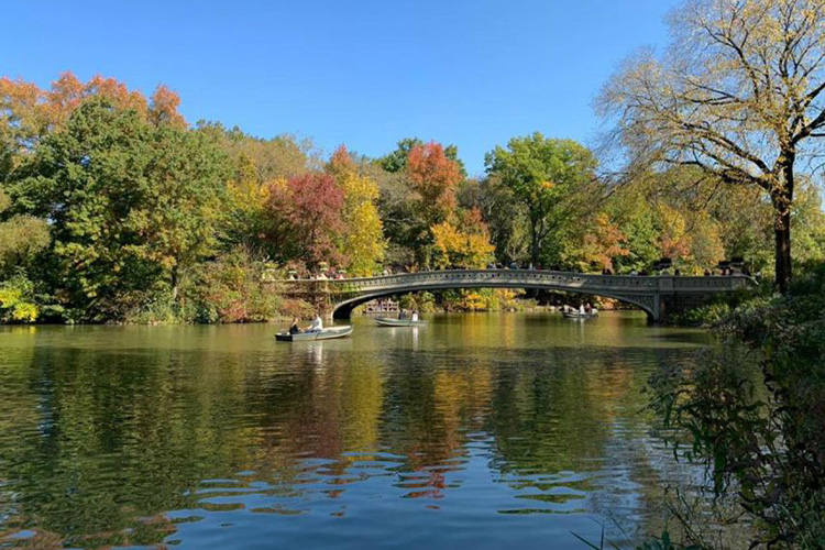 best central park walking tours