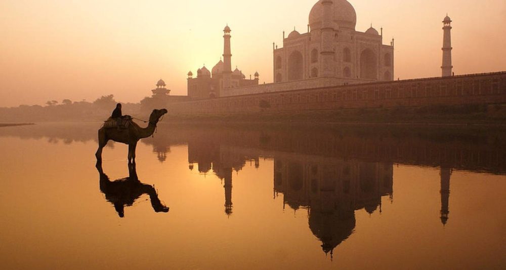 best golden triangle tour packages